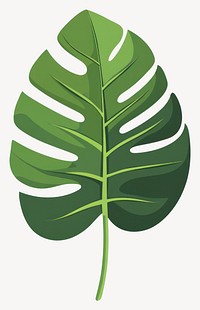 Palm leaf illustration plant art vector