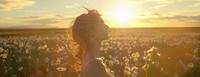 Field full of daisy landscape nature photo.