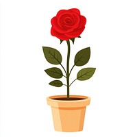 Red rose flower potted plant illustration art botanical.