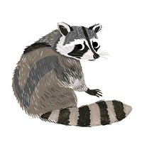 Cute raccoon illustration animal wildlife creature.