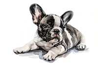 Baby bulldog character illustration animal cute.