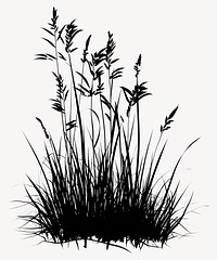 Silhouette grass illustration plant vector