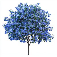 Blue flower tree flowers blue flowers illustration.