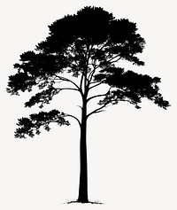 Cedar tree silhouette illustration black vector