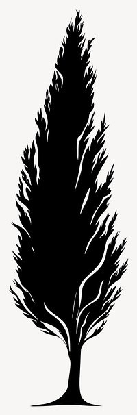 Cypress tree silhouette illustration black vector