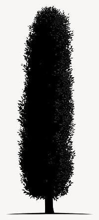 Hedge tree silhouette illustration black vector