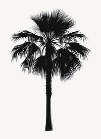 Short palm tree illustration silhouette black vector