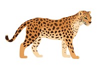 Leopard leopard illustration wildlife.