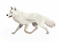 Wolf running wolf illustration animal.