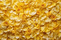 Yellow roses flower petals arrangement.