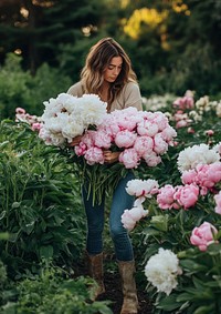 A woman is picking pink and white peonies in her garden flower beautiful jeans.