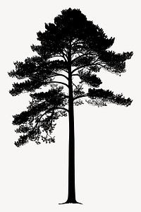 Silhouette tree pine symbol vector