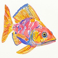 Rays fish illustration watercolor colorful.