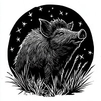 Wild Boar boar animal night.