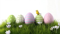 5 Easter eggs bird patterns striped.