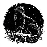 Panther panther wildlife night.