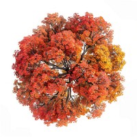 Autumn tree leaves leaf chandelier.