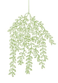 Hanging plant illustration green chandelier.