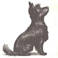 Dog illustration black style.