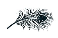 Peacock feather flying graphics black illustration.