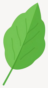 Basil leaf illustration simple plant  vector