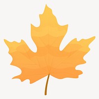 Maple leaf illustration maple maple leaf  vector