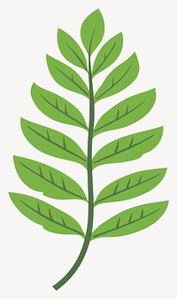 Fern leaf illustration plant art  vector