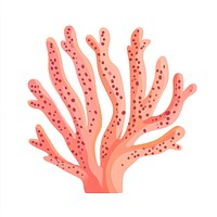 Coral illustration nature marine.