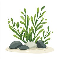 Seaweed with rocks illustration marine plant.