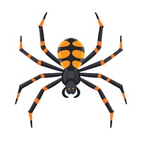 Spider illustration arachnid vector.