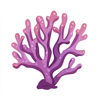 Coral illustration purple nature.