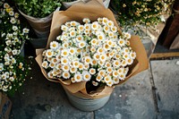 Large three bunches of white small daisies wrapped in brown paper and string flower daisy arrangement.