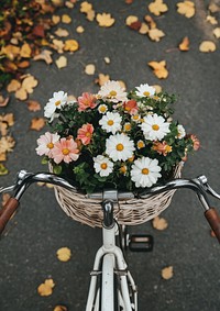 White bicycle with flowers in the front basket of the bike leaves road transportation.