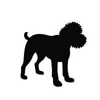 Collection portrait Poodle dog silhouette animal illustration.