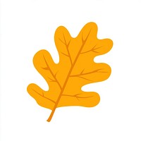 Yellow rounded oak leaf illustration autumn fall.