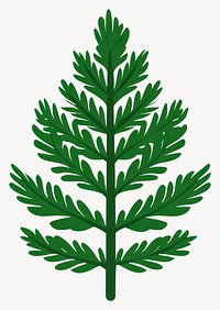 Green pine leaf illustration plant botanical vector