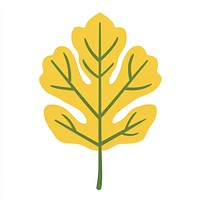 Yellow reniform leaf illustration autumn botanical.