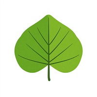 Green fan shape leaf illustration nature simple.