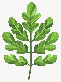 Green acacia leaf illustration plant eco-friendly vector