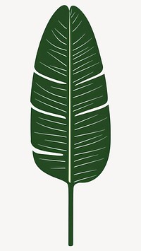 Green linear banana leaf illustration tropical minimalist vector