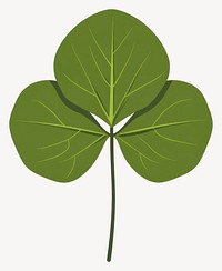 Green pennywort leaf illustration simple plant vector