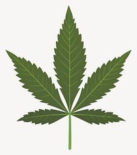 Green hastate leaf illustration plant marijuana vector