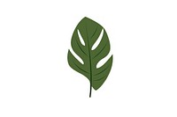 Tropical leaves plant leaf illustration.