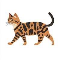 Spotted cat walking illustration animal art.