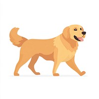 Golden Retriever dog walking illustration retriever animal.