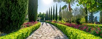 Colorful spring flower garden landscape trees path.