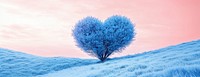 Blue grass hill landscape scenery nature heart.