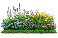 Various spring flower bushes outdoors colorful garden.