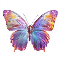 Butterfly invertebrate illustration iridescent.