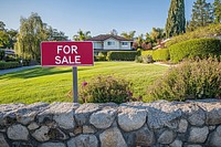 Sign bushes house stone.